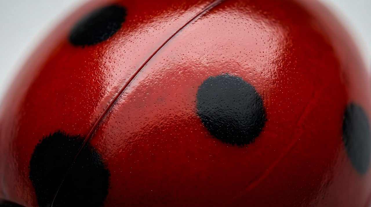 Após chuvas e interdição da serra, crescem os pedidos pela reabertura da linha Japeri x Barra do Piraí