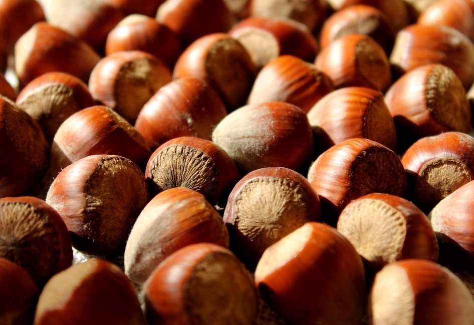 Após chuvas e interdição da serra, crescem os pedidos pela reabertura da linha Japeri x Barra do Piraí