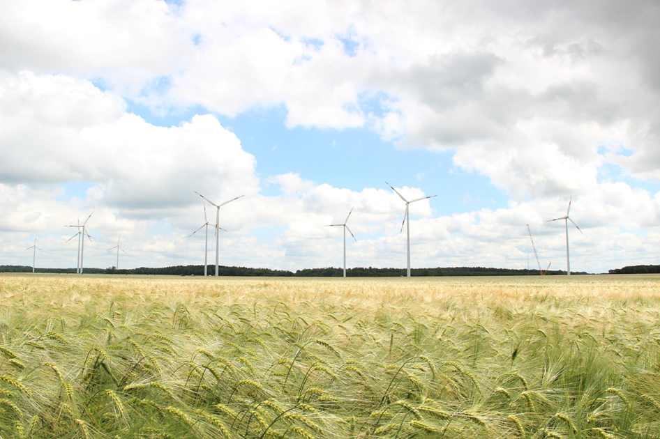 Começa nova etapa de distribuição de cestas básicas
